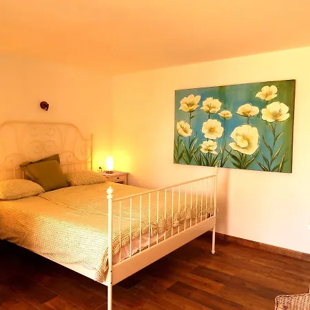 Beach Front Oasis Διαμέρισμα